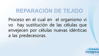 REPARACIÓN DE TEJIDO
Proceso en el cual en el organismo vi
vo hay sustitución de las células que
envejecen por células nuevas idénticas
a las predecesoras.
 