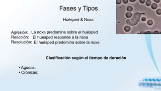 Fases y Tipos
Huésped & Noxa
Agresión:
Reacción:
Resolución:
Clasificación según el tiempo de duración
• Agudas:
• Crónicas:
La noxa predomina sobre el huésped
El huésped responde a la noxa
El huésped predomina sobre la noxa
 