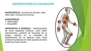 MANIFESTACIONES DE LA INFLAMACIÓN
MACROSCÓPICAS : Aumento de volumen, rubor,
calor, dolor, impotencia funcional.
MICROSCÓPICAS
 VASCULARES:
 CELULARES:
INESPECÍFICAS O GENERALE: manifestaciones
de varias respuestas celulares, como fiebre
(decaimiento), aumento de leucocitos de la
sangre, cambios en la velocidad de
sedimentación de los glóbulos rojos. Estos
cambios se presentan en todos aquellos procesos
donde hay injuria celular.
 