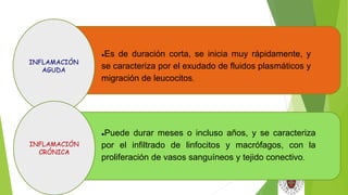 INFLAMACIÓN
AGUDA
INFLAMACIÓN
CRÓNICA
Es de duración corta, se inicia muy rápidamente, y
se caracteriza por el exudado de fluidos plasmáticos y
migración de leucocitos.
Puede durar meses o incluso años, y se caracteriza
por el infiltrado de linfocitos y macrófagos, con la
proliferación de vasos sanguíneos y tejido conectivo.
 