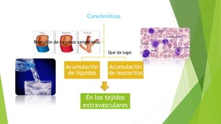 Características
Acumulación
de líquidos
Acumulación
de leucocitos
Reacción de la vasos sanguíneos
En los tejidos
extravasculares
Que da lugar
 