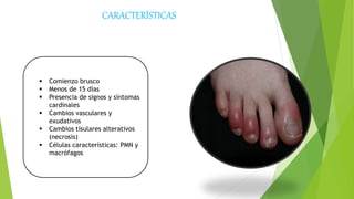 CARACTERÍSTICAS
 Comienzo brusco
 Menos de 15 días
 Presencia de signos y síntomas
cardinales
 Cambios vasculares y
exudativos
 Cambios tisulares alterativos
(necrosis)
 Células características: PMN y
macrófagos
 