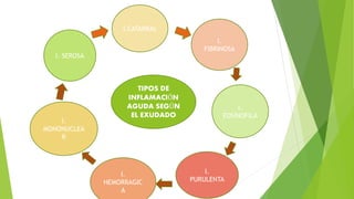 TIPOS DE
INFLAMACIÓN
AGUDA SEGÚN
EL EXUDADO
I. SEROSA
I.CATARRAL
I.
FIBRINOSA
I.
MONONUCLEA
R
I.
HEMORRAGIC
A
I.
PURULENTA
I.
EOSINOFILA
 