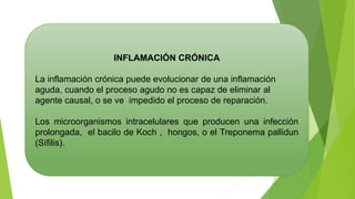 INFLAMACIÓN CRÓNICA
La inflamación crónica puede evolucionar de una inflamación
aguda, cuando el proceso agudo no es capaz de eliminar al
agente causal, o se ve impedido el proceso de reparación.
Los microorganismos intracelulares que producen una infección
prolongada, el bacilo de Koch , hongos, o el Treponema pallidun
(Sífilis).
 