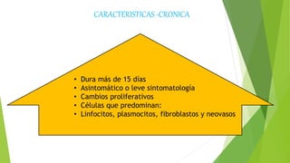 CARACTERISTICAS -CRONICA
• Dura más de 15 días
• Asintomático o leve sintomatología
• Cambios proliferativos
• Células que predominan:
• Linfocitos, plasmocitos, fibroblastos y neovasos
 