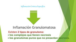 Inflamación Crónica Específica
Inflamación Granulomatosa
Existen 2 tipos de granuloma:
los complejos que tienen necrosis
los granulomas puros que no presentan necrosis.
 