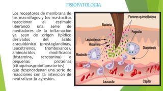 Los receptores de membrana de
los macrófagos y los mastocitos
reaccionan al estímulo
liberando una serie de
mediadores de la inflamación
ya sean de origen lipídico
derivados del ácido
araquidónico (prostaglandinas,
leucotrienos, tromboxanos),
aminoácidos modificados
(histamina, serotonina) o
pequeñas proteínas
(citoquinasproinflamatorios)
que desencadenan una serie de
reacciones con la intención de
neutralizar la agresión.
FISIOPATOLOGIA
 