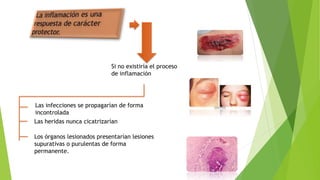 Si no existiría el proceso
de inflamación
Las infecciones se propagarían de forma
incontrolada
Las heridas nunca cicatrizarían
Los órganos lesionados presentarían lesiones
supurativas o purulentas de forma
permanente.
 