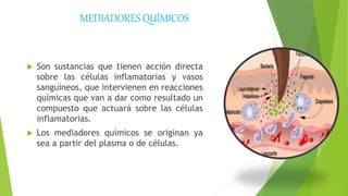 MEDIADORES QUÍMICOS
 Son sustancias que tienen acción directa
sobre las células inflamatorias y vasos
sanguíneos, que intervienen en reacciones
químicas que van a dar como resultado un
compuesto que actuará sobre las células
inflamatorias.
 Los mediadores químicos se originan ya
sea a partir del plasma o de células.
 