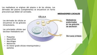 Los mediadores se originan del plasma o de las células. Los
derivados del plasma (complemento) se encuentran en forma
precursora que deben ser activados.
Los derivados de células se
encuentran en los gránulos
intracelulares.
Las principales células que
secretan mediadores son:
• Plaquetas
• Neutrófilos
• Macrófagos
• Mastocitos
• En menor grado células mesenquimales y
epitelios
 