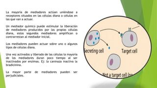 La mayoría de mediadores actúan uniéndose a
receptores situados en las células diana o células en
las que van a actuar.
Un mediador químico puede estimular la liberación
de mediadores producidos por las propias células
diana, estos segundos mediadores amplifican o
contrarrestan al mediador inicial.
Los mediadores pueden actuar sobre uno o algunos
tipos de células diana.
Una vez activados y liberado de las células la mayoría
de los mediadores duran poco tiempo al ser
inactivados por enzimas. Ej: la caninaza inactiva la
bradicinina.
La mayor parte de mediadores pueden ser
perjudiciales.
 