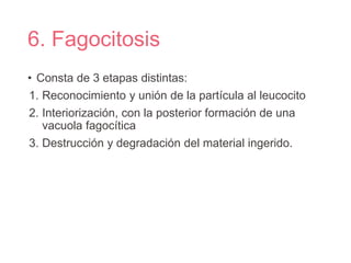 6. Fagocitosis
• Consta de 3 etapas distintas:
1. Reconocimiento y unión de la partícula al leucocito
2. Interiorización, con la posterior formación de una
vacuola fagocítica
3. Destrucción y degradación del material ingerido.
 