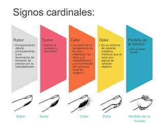 Signos cardinales:
Rubor
• Enrojecimiento,
debido
principalmente
a los
fenómenos de
aumento de
presión por la
vasodilatación.
Tumor
• Debido al
exudado y
trasudado
Calor
• Aumento de la
temperatura de
la zona
inflamada. Se
debe a la
vasodilatación
y al incremento
del consumo
local de
oxígeno.
Dolor
• Es un síntoma
de carácter
subjetivo,
mientras que el
resto son
signos de
carácter
objetivo.
Perdida de
la función
• Por el daño
tisular.
 