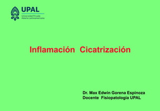 Inflamación Cicatrización
Dr. Max Edwin Gorena Espinoza
Docente Fisiopatologia UPAL
 