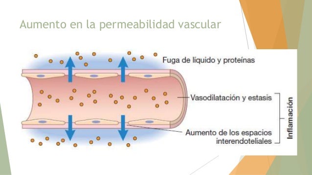 Inflamaci n inflamaci-n