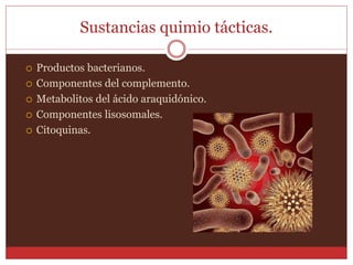 Sustancias quimio tácticas. 
 Productos bacterianos. 
 Componentes del complemento. 
 Metabolitos del ácido araquidónico. 
 Componentes lisosomales. 
 Citoquinas. 
 