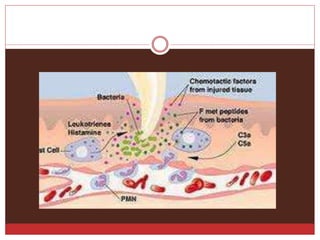 Inflamación  2   2014