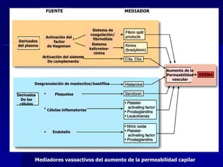 Mediadores vasoactivos del aumento de la permeabilidad capilar FUENTE MEDIADOR Derivados del plasma Activación del factor de Hageman Sistema de coagulación/ fibrinólisis Sistema kalicreína- cinina Activación del sistema De complemento Derivados De las células Desgranulación de mastocitos/basófilos Plaquetas Células inflamatorias Endotelio Aumento de la Permeabilidad vascular 