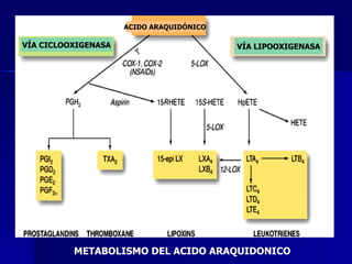 METABOLISMO DEL ACIDO ARAQUIDONICO   VÍA CICLOOXIGENASA VÍA LIPOOXIGENASA ACIDO ARAQUIDÓNICO 