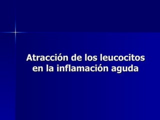Atracción de los leucocitos en la inflamación aguda 