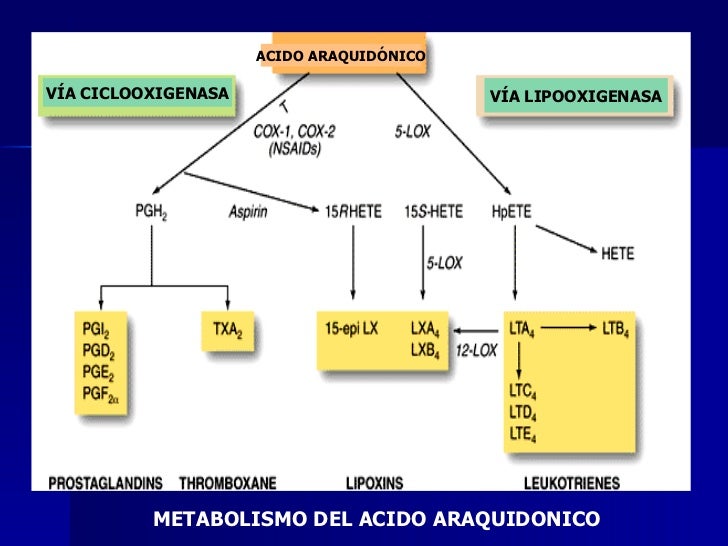 INFLAMACION AGUDA INFLAMACION AGUDA