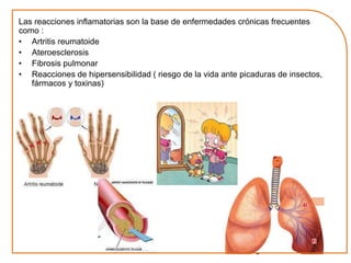 Las reacciones inflamatorias son la base de enfermedades crónicas frecuentes 
como : 
• Artritis reumatoide 
• Ateroesclerosis 
• Fibrosis pulmonar 
• Reacciones de hipersensibilidad ( riesgo de la vida ante picaduras de insectos, 
fármacos y toxinas) 
 