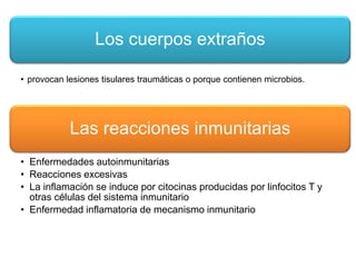 Los cuerpos extraños 
• provocan lesiones tisulares traumáticas o porque contienen microbios. 
Las reacciones inmunitarias 
• Enfermedades autoinmunitarias 
• Reacciones excesivas 
• La inflamación se induce por citocinas producidas por linfocitos T y 
otras células del sistema inmunitario 
• Enfermedad inflamatoria de mecanismo inmunitario 
 
