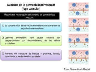 Aumento de la permeabilidad vascular 
(fuga vascular) 
Torres Chávez Lizeth Maydali 
Mecanismos responsables del aumento de permeabilidad 
vascular: 
 La concentración de las células endoteliales que aumentan los 
espacios interendoteliales. 
 Lesiones endoteliales, que causan necrosis con 
desprendimiento con desprendimiento de las células 
endoteliales. 
 Aumento del transporte de líquidos y proteínas, llamado 
transcitosis, a través de célula endotelial. 
 