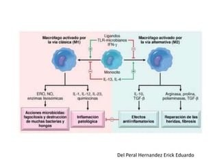 Del Peral Hernandez Erick Eduardo 
 