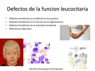 Defectos de la funcion leucocitaria 
• Defectos hereditarios en la adherencia leucocitaria 
• Defectos hereditarios en la funcion de los fagolisosomas 
• Defector hereditarios de la actividad microbicida 
• Deficiencias adquiridas 
Del Peral Hernandez Erick Eduardo 
 