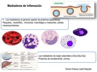 Mediadores de inflamación 
Torres Chávez Lizeth Maydali 
 Los mediadores se generan apartar de proteínas plasmáticas 
Plaquetas , neutrófilos , monocitos, macrófagos y mastocitos, células 
mesenquimatosas. 
Los mediadores de origen plasmático (C5a,C4a,C3a) 
Proteínas de complemente, cininas. 
 