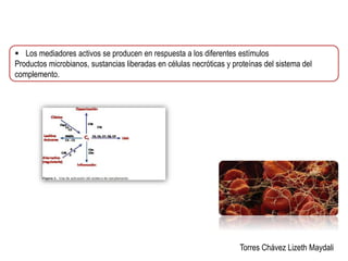  Los mediadores activos se producen en respuesta a los diferentes estímulos 
Productos microbianos, sustancias liberadas en células necróticas y proteínas del sistema del 
complemento. 
Torres Chávez Lizeth Maydali 
 