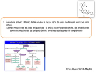  Cuando se activan y liberan de las células, la mayor parte de estos mediadores sobrevive poco 
tiempo. 
Ejemplo metabolitos de acido araquidónico , la cinasa inactiva la bradicinina , los antioxidantes 
barren los metabolitos del oxigeno tóxicos, proteínas reguladoras del complemento 
Torres Chavez Lizeth Maydali 
 