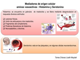 Mediadores de origen celular 
aminas vasoactivas : Histamina y Serotonina 
Histamina: se encuentra en gránulos de mastocitos y se libera mediante desgranulacion en 
respuesta diversos estímulos: 
Torres Chávez Lizeth Maydali 
 Lesiones físicas. 
 Unión de anticuerpos a los mastocitos. 
 Fragmentos del complemento. 
 Proteínas liberadoras de histamina. 
 Neuropéptidos y citocinas. 
Serotonina: esta en las plaquetas y en algunas células neuroendocrinas. 
 