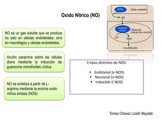 Oxido Nítrico (NO) 
Torres Chávez Lizeth Maydali 
NO es un gas soluble que se produce 
no solo en células endoteliales, sino 
en macrófagos y células endoteliales. 
Acción paracrina sobre las células 
diana mediante la inducción de 
guanocina monofosfato cíclica 
NO se sintetiza a partir de L-arginina 
mediante la enzima oxido 
nítrico sintasa (NOS) 
3 tipos distintos de NOS: 
 Endotelial (e NOS) 
 Neuronal (n NOS) 
 Inducible (i NOS) 
 