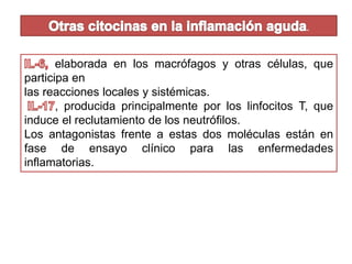 . 
elaborada en los macrófagos y otras células, que 
participa en 
las reacciones locales y sistémicas. 
, producida principalmente por los linfocitos T, que 
induce el reclutamiento de los neutrófilos. 
Los antagonistas frente a estas dos moléculas están en 
fase de ensayo clínico para las enfermedades 
inflamatorias. 
 