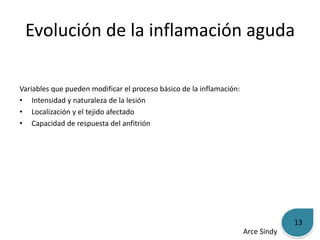 Evolución de la inflamación aguda 
Variables que pueden modificar el proceso básico de la inflamación: 
• Intensidad y naturaleza de la lesión 
• Localización y el tejido afectado 
• Capacidad de respuesta del anfitrión 
Arce Sindy 
13 
 