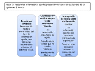 Todas las reacciones inflamatorias agudas pueden evolucionar de cualquiera de las 
siguientes 3 formas: 
Resolución 
completa: 
Recuperación 
hasta la 
normalidad del 
foco de 
inflamación 
aguda , tras 
conseguir 
neutralizar y 
eliminar el 
estímulo lesivo. 
Cicatrización y 
sustitución por 
tejido 
conjuntivo 
(fibrosis): 
Tras 
destrucción 
importante de 
tejido. 
Cuando afecta 
tejidos que no 
pueden 
regenerar 
Exudación de 
fibrina. 
La progresión 
de la respuesta 
a inflamación 
crónica: 
Tras 
inflamación 
aguda o ser 
respuesta 
crónica desde 
el principio. 
Cuando no se 
consigue 
resolver la 
respuesta inf. 
aguda. 
 