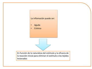 La inflamación puede ser: 
• Aguda 
• Crónica 
En función de la naturaleza del estímulo y la eficacia de 
la reacción inicial para eliminar el estímulo o los tejidos 
lesionados 
 