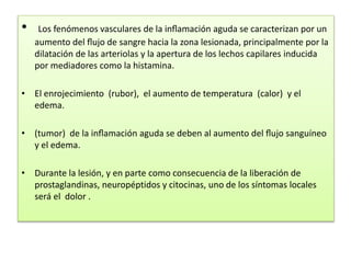 • Los fenómenos vasculares de la inflamación aguda se caracterizan por un 
aumento del flujo de sangre hacia la zona lesionada, principalmente por la 
dilatación de las arteriolas y la apertura de los lechos capilares inducida 
por mediadores como la histamina. 
• El enrojecimiento (rubor), el aumento de temperatura (calor) y el 
edema. 
• (tumor) de la inflamación aguda se deben al aumento del flujo sanguíneo 
y el edema. 
• Durante la lesión, y en parte como consecuencia de la liberación de 
prostaglandinas, neuropéptidos y citocinas, uno de los síntomas locales 
será el dolor . 
 