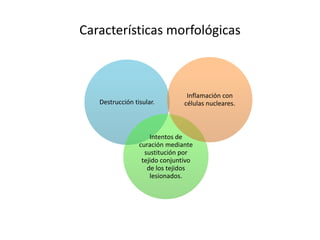 Características morfológicas 
Destrucción tisular. 
Intentos de 
Inflamación con 
células nucleares. 
curación mediante 
sustitución por 
tejido conjuntivo 
de los tejidos 
lesionados. 
 