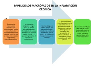 • 
PAPEL DE LOS MACRÓFAGOS EN LA INFLAMACIÓN 
Los macrófagos se 
pueden activar por 
diversos estímulos, 
incluidos los productos 
microbianos que se 
unen a los TLR y otros 
receptores celulares, 
citocinas 
los monocitos 
empiezan a migrar 
hacia los tejidos 
extravasculares de 
forma bastante precoz 
durante la infl amación 
aguda y en 48 h 
pueden representar el 
tipo celular 
predominante 
Cuando los macrófagos 
se activan de forma 
inadecuada hay una 
destrucción tisular la 
cual es una de las 
características de la 
inflamación crónica 
La activación de los 
macrófagos aumenta la 
concentración de 
enzimas lisosómicas y 
las especies reactivas 
del oxígeno y el 
nitrógeno, y la 
producción de 
citocinas, factores de 
crecimiento y otros 
mediadores de la infl 
amación. 
Este sistema 
mononuclear 
fagocítico está 
constituido por células 
estrechamente 
relacionadas de origen 
medular, entre las que 
se incluyen monocitos 
sanguíneos y 
macrófagos tisulares. 
CRÓNICA 
 