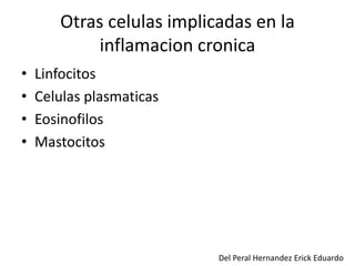 Otras celulas implicadas en la 
inflamacion cronica 
• Linfocitos 
• Celulas plasmaticas 
• Eosinofilos 
• Mastocitos 
Del Peral Hernandez Erick Eduardo 
 