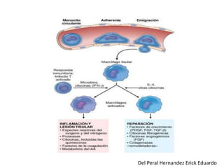 Del Peral Hernandez Erick Eduardo 
 