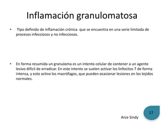 Inflamación granulomatosa 
• Tipo definido de inflamación crónica que se encuentra en una serie limitada de 
procesos infecciosos y no infecciosos. 
• En forma resumida un granuloma es un intento celular de contener a un agente 
lesivo difícil de erradicar. En este intento se suelen activar los linfocitos T de forma 
intensa, y esto activa los macrófagos, que pueden ocasionar lesiones en los tejidos 
normales. 
Arce Sindy 
17 
 