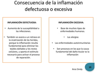 Consecuencia de la inflamación 
defectuosa o excesiva 
INFLAMACIÓN DEFECTUOSA: 
• Aumento de la susceptibilidad a 
las infecciones. 
• También se asocia a un retraso en 
la cicatrización de las heridas, 
porque la inflamación resulta 
fundamental para eliminar los 
tejidos dañados y los restos 
celulares, y aporta el estímulo 
necesario para activar el proceso 
de reparación. 
INFLAMACIÓN EXCESIVA: 
• Base de muchos tipos de 
enfermedades humanas. 
• Las alergias 
• Las enfermedades autoinmunitarias 
• Son procesos en los que la causa 
fundamental del daño tisular es la 
inflamación 
Arce Sindy 
19 
 