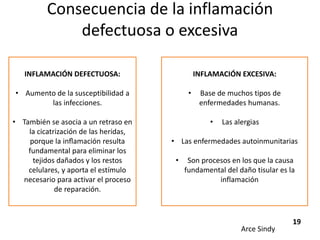 Consecuencia de la inflamación 
defectuosa o excesiva 
INFLAMACIÓN DEFECTUOSA: 
• Aumento de la susceptibilidad a 
las infecciones. 
• También se asocia a un retraso en 
la cicatrización de las heridas, 
porque la inflamación resulta 
fundamental para eliminar los 
tejidos dañados y los restos 
celulares, y aporta el estímulo 
necesario para activar el proceso 
de reparación. 
INFLAMACIÓN EXCESIVA: 
• Base de muchos tipos de 
enfermedades humanas. 
• Las alergias 
• Las enfermedades autoinmunitarias 
• Son procesos en los que la causa 
fundamental del daño tisular es la 
inflamación 
Arce Sindy 
19 
