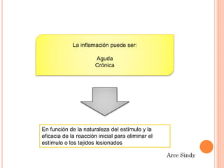 La inflamación puede ser: 
Aguda 
Crónica 
En función de la naturaleza del estímulo y la 
eficacia de la reacción inicial para eliminar el 
estímulo o los tejidos lesionados 
 