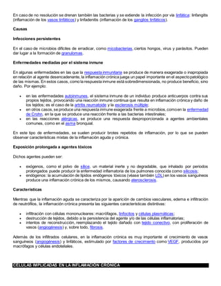 En caso de no resolución se drenan también las bacterias y se extiende la infección por vía linfática: linfangitis
(inflamación de los vasos linfáticos) y linfadenitis (inflamación de los ganglios linfáticos).
Causas
Infecciones persistentes
En el caso de microbios difíciles de erradicar, como micobacterias, ciertos hongos, virus y parásitos. Pueden
dar lugar a la formación de granulomas.
Enfermedades mediadas por el sistema inmune
En algunas enfermedades en las que la respuesta inmunitaria se produce de manera exagerada o inapropiada
en relación al agente desencadenante, la inflamación crónica juega un papel importante en el aspectopatológico
de las mismas. En estos casos, como la respuesta inmune está sobredimensionada, no produce beneficio, sino
daño. Por ejemplo:
 en las enfermedades autoinmunes, el sistema inmune de un individuo produce anticuerpos contra sus
propios tejidos, provocando una reacción inmune continua que resulta en inflamación crónica y daño de
los tejidos; es el caso de la artritis reumatoide y la esclerosis múltiple;
 en otros casos,se produce una respuesta inmune exagerada frente a microbios,comoen la enfermedad
de Crohn, en la que se produce una reacción frente a las bacterias intestinales;
 en las reacciones alérgicas, se produce una respuesta desproporcionada a agentes ambientales
comunes, como en el asma bronquial.
En este tipo de enfermedades, se suelen producir brotes repetidos de inflamación, por lo que se pueden
observar características mixtas de la inflamación aguda y crónica.
Exposición prolongada a agentes tóxicos
Dichos agentes pueden ser:
 exógenos, como el polvo de sílice, un material inerte y no degradable, que inhalado por periodos
prolongados puede producir la enfermedad inflamatoria de los pulmones conocida como silicosis;
 endógenos: la acumulación de lípidos endógenos tóxicos (véase también LDL) en los vasos sanguíneos
produce una inflamación crónica de los mismos, causando aterosclerosis.
Características
Mientras que la inflamación aguda se caracteriza por la aparición de cambios vasculares, edema e infiltración
de neutrófilos, la inflamación crónica presenta las siguientes características distintivas:
 infiltración con células mononucleares: macrófagos, linfocitos y células plasmáticas;
 destrucción de tejidos, debido a la persistencia del agente y/o de las células inflamatorias;
 intentos de reconstrucción, reemplazando el tejido dañado con tejido conectivo, con proliferación de
vasos (angiogénesis) y, sobre todo, fibrosis.
Además de los infiltrados celulares, en la inflamación crónica es muy importante el crecimiento de vasos
sanguíneos (angiogénesis) y linfáticos, estimulado por factores de crecimiento como VEGF, producidos por
macrófagos y células endoteliales.
CÉLULAS IMPLICADAS EN LA INFLAMACIÓN CRÓNICA
 