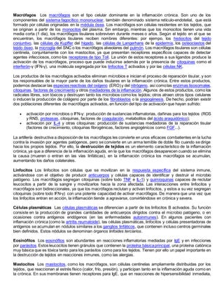 Macrófagos Los macrófagos son el tipo celular dominante en la inflamación crónica. Son uno de los
componentes del sistema fagocítico mononuclear, también denominado sistema retículo-endotelial, que está
formado por células originadas en la médula ósea. Los macrófagos son células residentes en los tejidos, que
se originan a partir de los monocitos del plasma. Sin embargo, mientras que los monocitos tienen una vida
media corta (1 día), los macrófagos tisulares sobreviven durante meses o años. Según el tejido en el que se
encuentran, los macrófagos tisulares reciben nombres diferentes: por ejempo, los histiocitos del tejido
conjuntivo, las células de Kupffer del hígado, las células de Langerhans de la epidermis, los osteoclastos del
tejido óseo, la microglía del SNC o los macrófagos alveolares del pulmón. Los macrófagos tisulares son células
centinela, conjuntamente con los mastocitos, ya que presentan receptores específicos capaces de detectar
agentes infecciosos, como los receptores de tipo Toll. La unión de estos receptores a sus ligandos produce la
activación de los macrófagos, proceso que puede inducirse además por la presencia de citoquinas como el
interferón-γ (IFN-γ), una molécula segregada por los linfocitos T activados y por las células NK.
Los productos de los macrofagos activados eliminan microbios e inician el proceso de reparación tisular, y son
los responsables de la mayor parte de los daños tisulares en la inflamación crónica. Entre estos productos,
podemos destacar las especies reactivas del oxígeno (ERO)y del nitrógeno, así comolas enzimas lisosomales,
citoquinas, factores de crecimiento y otros mediadores de la inflamación. Algunos de estos productos, como los
radicales libres, son tóxicos y destruyen tanto los microbios como los tejidos; otros atraen otros tipos celulares
o inducen la producción de colágeno por parte de los fibroblastos o la angiogénesis. De hecho, podrían existir
dos poblaciones diferentes de macrófagos activados, en función del tipo de activación que hayan sufrido:
 activación por microbios o IFN-γ: producción de sustancias inflamatorias, dañinas para los tejidos (ROS
y RNS, proteasas, citoquinas, factores de coagulación, metabolitos del ácido araquidónico);
 activación por IL-4 y otras citoquinas: producción de sustancias mediadoras de la reparación tisular
(factores de crecimiento, citoquinas fibrogénicas, factores angiogénicos como FGF...).
La artillería destructiva a disposición de los macrófagos les convierte en unos eficaces combatientes en la lucha
contra la invasión por agentes patógenos, pero se convierte en un arma temible de doble filo cuando se dirige
hacia los propios tejidos. Por ello, la destrucción de tejidos es un elemento característico de la inflamación
crónica, ya que a diferencia de la inflamación aguda, en la que los macrófagos desaparecen cuando se elimina
la causa (mueren o entran en las vías linfáticas), en la inflamación crónica los macrófagos se acumulan,
aumentando los daños colaterales.
Linfocitos Los linfocitos son células que se movilizan en la respuesta específica del sistema inmune,
activándose con el objetivo de producir anticuerpos y células capaces de identificar y destruir el microbio
patógeno. Los macrófagos segregan citoquinas (sobre todo TNF e IL-1) y quimioquinas capaces de reclutar
leucocitos a partir de la sangre y movilizarlos hacia la zona afectada. Las interacciones entre linfocitos y
macrófagos son bidireccionales, ya que los macrófagos reclutan y activan linfocitos, y estos a su vez segregan
citoquinas (sobre todo IFN-γ) con una potente capacidad de activar macrófagos. De manera que una vez que
los linfocitos entran en acción, la inflamación tiende a agravarse, convirtiéndose en crónica y severa.
Células plasmáticas Las células plasmáticas se diferencian a partir de los linfocitos B activados. Su función
consiste en la producción de grandes cantidades de anticuerpos dirigidos contra el microbio patógeno, o en
ocasiones contra antígenos endógenos (en las enfermedades autoinmunes). En algunos pacientes con
inflamación crónica (como la artritis reumatoide), las células plasmáticas, linfocitos y células presentadoras de
antígenos se acumulan en nódulos similares a los ganglios linfáticos, que contienen incluso centros germinales
bien definidos. Estos nódulos se denominan órganos linfoides terciarios.
Eosinófilos Los eosinófilos son abundantes en reacciones inflamatorias mediadas por IgE y en infecciones
por parásitos.Estos leucocitos tienen gránulos que contienen la proteína básicaprincipal, una proteína catiónica
muy básica que es tóxica tanto para los parásitos como para los tejidos. Tienen por ello un papel importante en
la destrucción de tejidos en reacciones inmunes, como las alergias.
Mastocitos Los mastocitos, como los macrófagos, son células centinelas ampliamente distribuidas por los
tejidos, que reaccionan al estrés físico (calor, frío, presión), y participan tanto en la inflamación aguda como en
la crónica. En sus membranas tienen receptores para IgE, que en reacciones de hipersensibilidad inmediata,
 